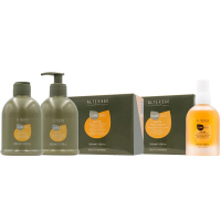 Silk Oil - Лінія з олією шовку