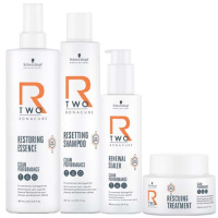 R-TWO - Лінія для дуже пошкодженого волосся