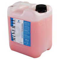 Шампуні для салонного використання