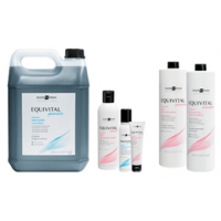 Equivital - Технічна лінія