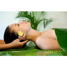 Водорістове обгортання