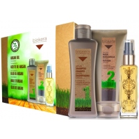 Арганова лінія