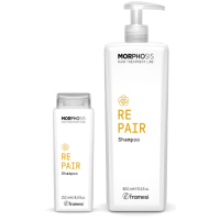 Repair - Лінія для пошкодженого освітленого волосся