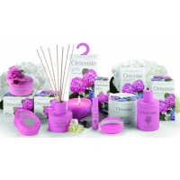 Ortensia - Гортензія