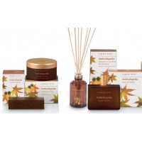 Ambraliquida - Амброве дерево