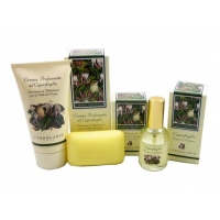 Caprifoglio - Жимолість