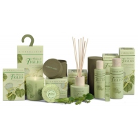 Ombra di Tiglio - Липа