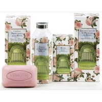 Rosa - Троянда