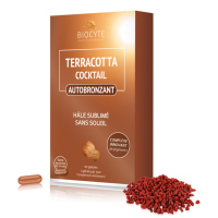 Terracotta - Сонячна лінія