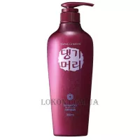 DAENG GI MEO RI Shampoo for oily Scalp - Шампунь для жирної шкіри голови