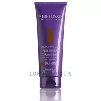 FARMAVITA Amethyste Colouring Mask Brunette - Тонуюча маска 