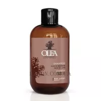 DOTT.SOLARI Olea Pure Origin Шампунь Baobab Oil Linseed Oil - Шампунь на основі олій баобабу та льону