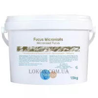 THALASPA Micronised Fucus - Маска-пудра "Мікронізований фукус"