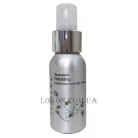 TEOTEMA Rebuilding Multivitamins Magic Potion - Відновлюючий вітамінний лосьйон