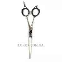 PRO LINE - Ножиці прямі CK48 5.5