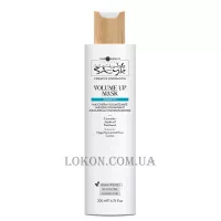 HAIR COMPANY Inimitable Style Density 3 Volume Up Mask - Маска для об'єму волосся