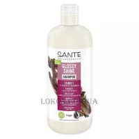SANTE Family Glossy Shine Shampoo - Біо-шампунь для блиску волосся з протеїновим комплексом та березовим листям
