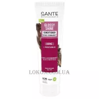 SANTE Family Glossy Shine Conditioner - Біо-кондиціонер для блиску волосся з протеїновим комплексом та березовим листям