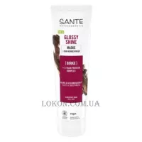 SANTE Family Glossy Shine Mask - Біо-маска для блиску волосся з протеїновим комплексом та березовим листям
