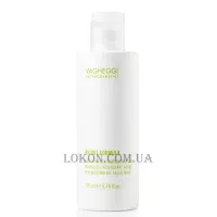 VAGHEGGI Bright Formula Regenerating Gel Facial Mask - Відновлююча гель-маска для обличчя