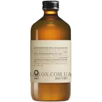 OWAY Twist'n Curl Curly Hair Co-Wash - Засіб для кучерявого волосся