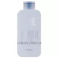 LEBEL Theo Standard Shampoo Ice Fresh - Освіжаючий чоловічий шампунь