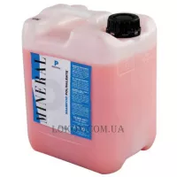 EMMEBI Polyvalent Professional Shampoo - Шампунь професійний для всіх типів волосся